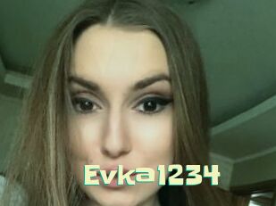 Evka1234