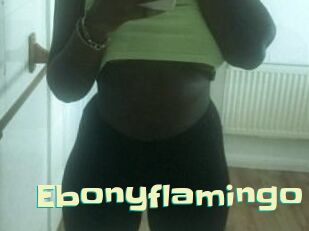 Ebony_flamingo