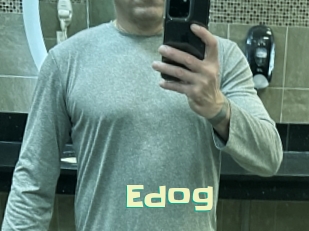 edog Wanna Meet