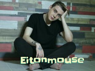 Eitonmouse