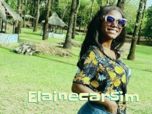Elainecarsim