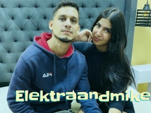 Elektraandmike