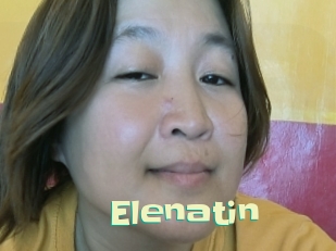 Elenatin