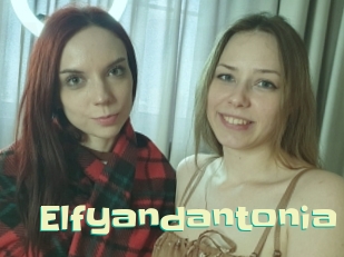 Elfyandantonia