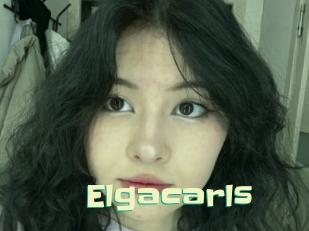 Elgacarls