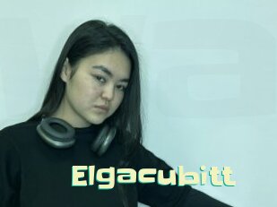 Elgacubitt