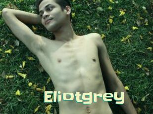 Eliotgrey