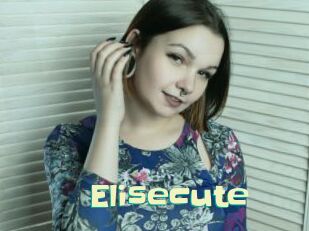 Elisecute