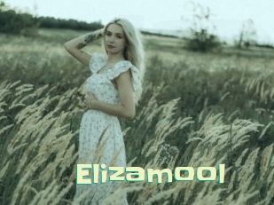 Elizamool