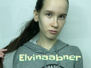 Elvinaabner
