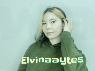 Elvinaaytes
