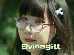 Elvinagitt