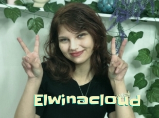Elwinacloud