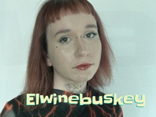 Elwinebuskey