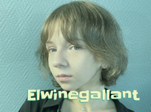 Elwinegallant