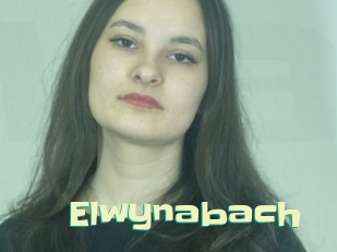 Elwynabach