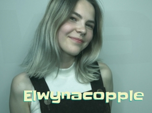 Elwynacopple