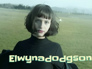 Elwynadodgson