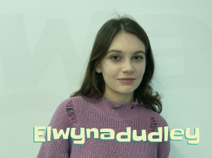 Elwynadudley