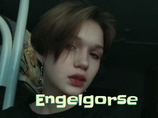 Engelgorse