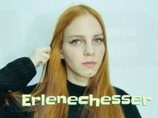 Erlenechesser