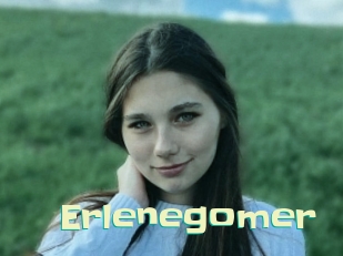 Erlenegomer