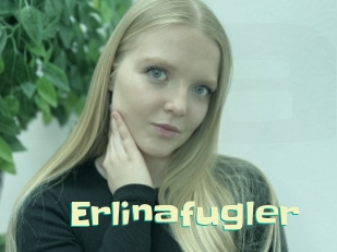 Erlinafugler