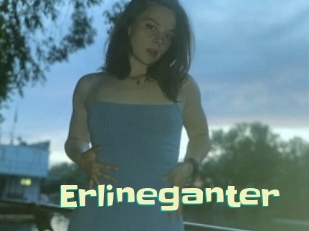 Erlineganter