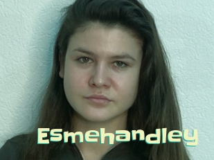 Esmehandley