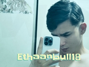 Ethaanbull18
