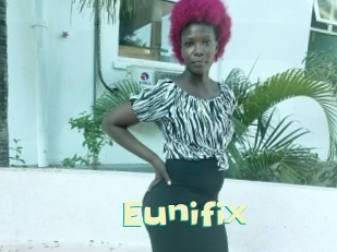 Eunifix