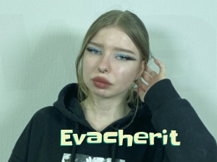 Evacherit