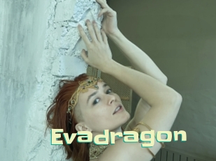 evadragon Wanna Meet