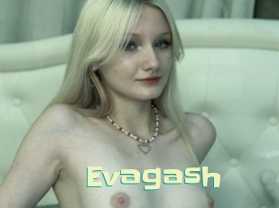 Evagash