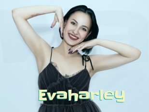 evaharley Wanna Meet