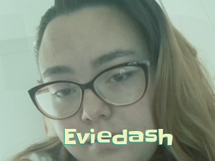 Eviedash