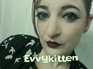 Evvykitten