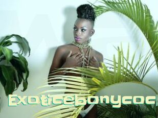 Exoticebonycock