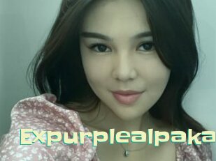 Expurplealpaka
