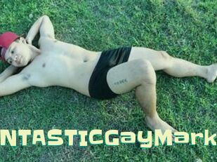 FANTASTICGayMark