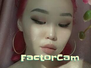 FactorCam