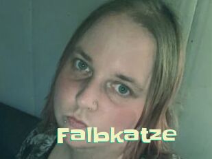 Falbkatze