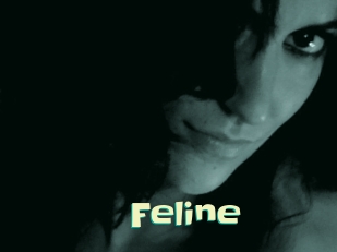 Feline Wanna Meet