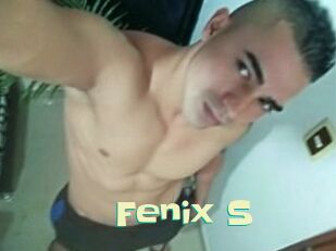 Fenix_S