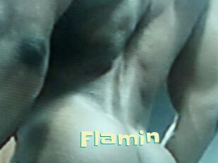 Flamin