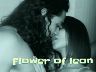 Flower_of_leon