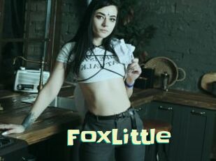 FoxLittle Wanna Meet