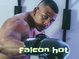 falcon_hot Wanna Meet