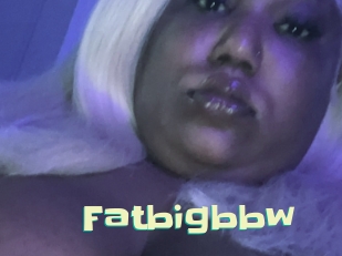 Fatbigbbw