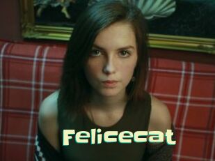 Felicecat